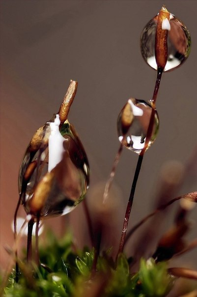 ,      ,        . ... - 2