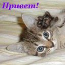 ���� Lenok, ������ - ��������� 14 ������� 2014 � ������ ������ ��������