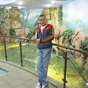 , 43 , 