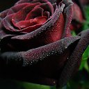 ���� �����!!������� ������, ������������ - ��������� 25 ������� 2015 � ������ �������� � ��� ������