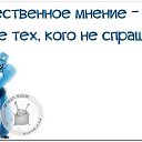  ,  , 51  -  3  2015    