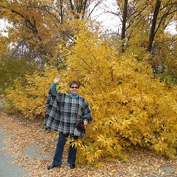 ���� �����, �������, 75 ��� - ��������� 18 ������� 2014