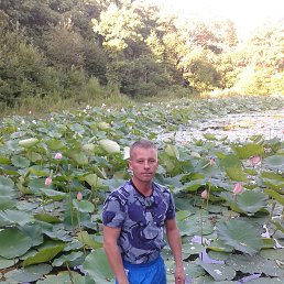 �����, �����������, 47 ���