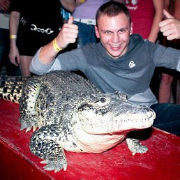 ���� ���������, ���������, 32 ���� - ��������� 3 ����� 2015