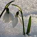 ���� �������, ������ - ��������� 26 ������� 2015 � ������ ������ ��������