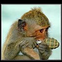 ���� �����, ������� �����-7, 54 ���� - ��������� 15 ������ 2015 � ������ �������.�