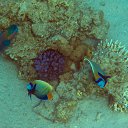���� Df, ������ - ��������� 30 ������ 2015 � ������ �������� ����