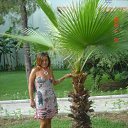 ���� �����, ������ - ��������� 20 ������� 2015 � ������ ���� ����������