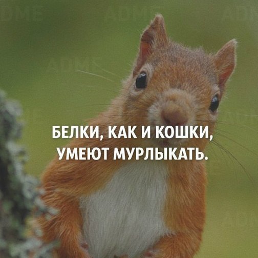 Подборка нескольких фактов, которые могут изменить представление об этом мире. - 8