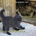 ���� ����, ��������, 59 ��� - ��������� 3 ����� 2015 � ������ ������ ��������