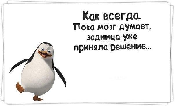 �������� ���� - 2 ������ 2015 � 22:32