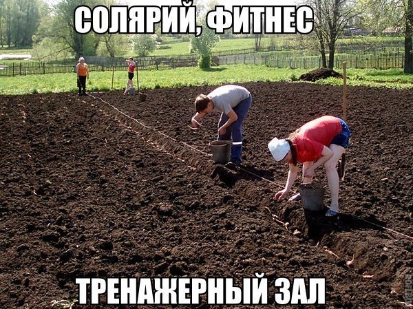 ������������ ���� - 21 ������ 2015 � 13:32