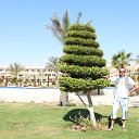 HURGHADA 2015 �� ������� ���� ����������