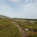 ���� ���������, �����, 66 ��� - ��������� 30 ����� 2015 � ������ �����