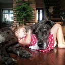 ���� �������, �������, 51 ��� - ��������� 21 ����� 2015 � ������ ������ ��������
