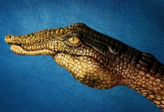 Рукозвери Гвидо Даниэле.Итальянский художник Гвидо Даниэле (Guido Daniele) — мастер ... - 8