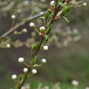 ���� ����, �������, 66 ��� - ��������� 22 ������ 2015 � ������ ������ 2015�