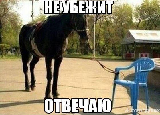     - 18  2015  15:06