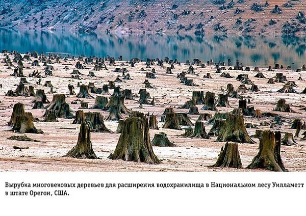 На грани апокалипсиса: Влияние человеческой деятельности на Землю.Глобальное потепление – далеко не ... - 10