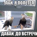 ���� �����, �����, 48 ��� - ��������� 14 ������� 2015 � ������ �7�