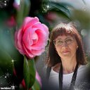 ���� �������, ���� - ��������� 26 ������� 2015 � ������ ���� ����������