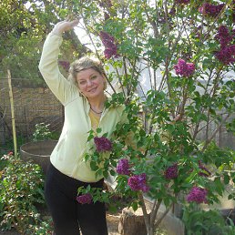 ���� �����, �����������, 59 ��� - ��������� 7 ��� 2015