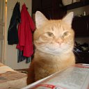 ���� ������, ������, 51 ��� - ��������� 9 �������� 2015 � ������ ������ ��������
