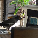    -  ,  -  4  2015    2014.  .  6-.