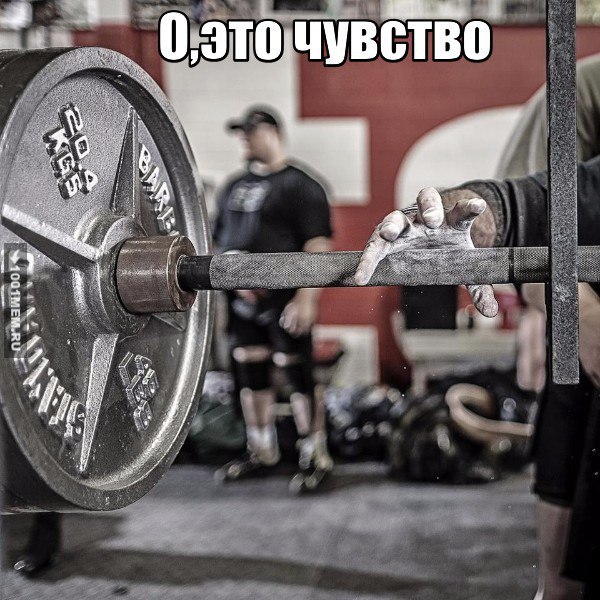 SportFeed - 30  2015  16:37