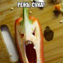 ���� �����, �����, 48 ��� - ��������� 24 ���� 2015 � ������ ��������-����������-�������������Ż