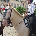 ���� �����, ������, 31 ��� - ��������� 11 ���� 2015 � ������ ���� ����������