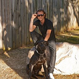 ����, ���������