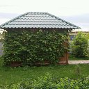 ���� ������, ������������, 66 ��� - ��������� 23 ���� 2015 � ������ ���������� ������