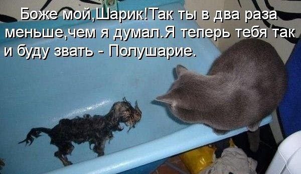 )))