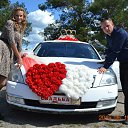 ���� �������, ���������, 35 ��� - ��������� 2 ���� 2015 � ������ ���� ����������