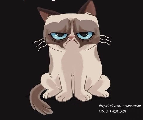   , !  ;)