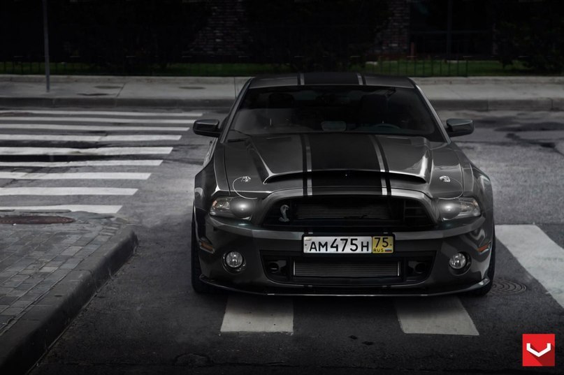 Shelby Mustang GT 500