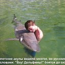 ���� �������, ���������, 47 ��� - ��������� 31 ��� 2015 � ������ ������ ��������