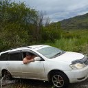 ������ ����� 2015