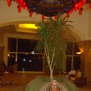 ���� - ������ 2015� �� ������� ���� ����������