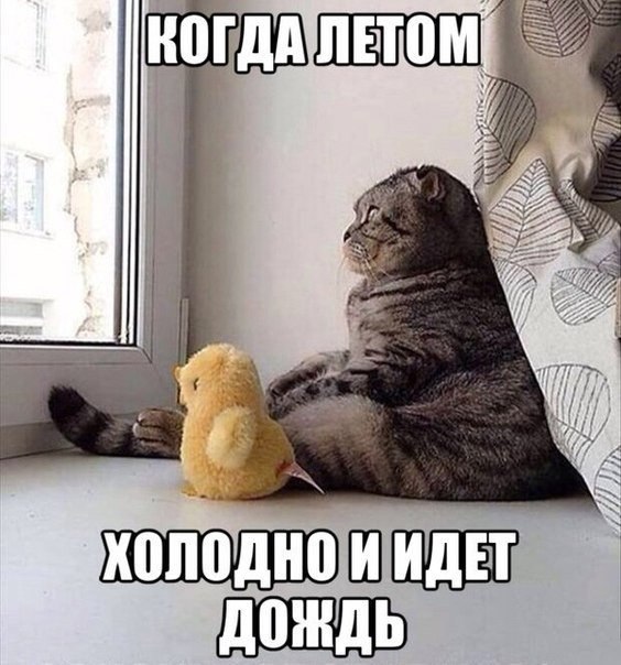       - 7  2015  12:05