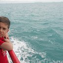    -  ,  -  4  2015    2014.  .  4-.