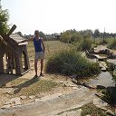  Sergey, , 49  -  28  2015    