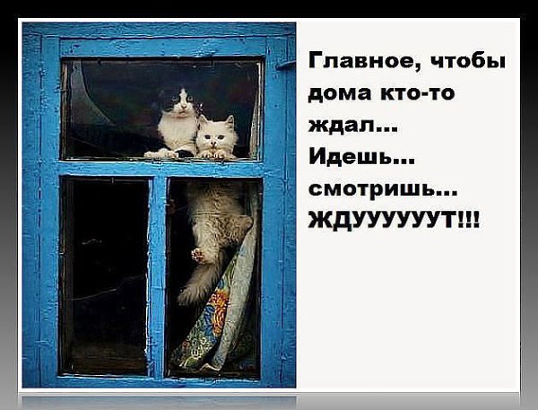 Если меня дома ждут