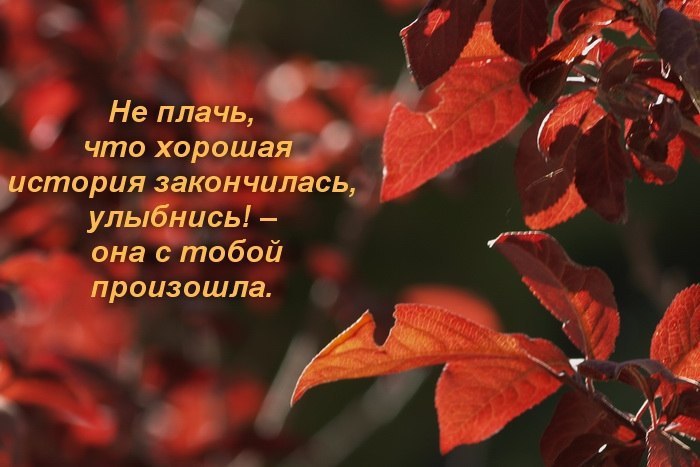   - 20  2015  19:07