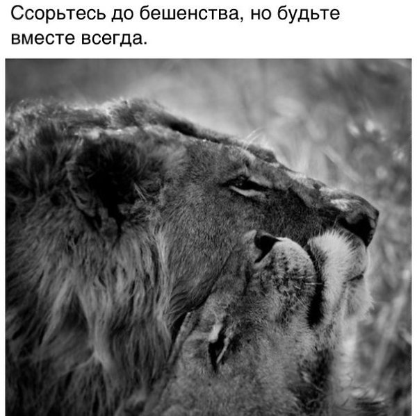 ������� ������ - 9 ��� 2015 � 08:32