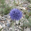 ���� ����, ������� - ��������� 26 ������� 2015 � ������ ������� ����� 2015�