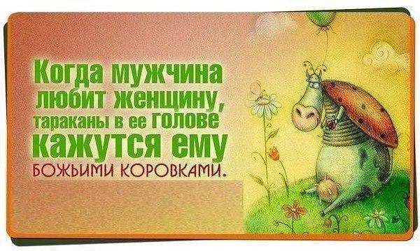   - 2  2015  21:12