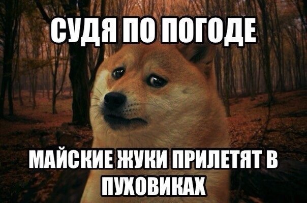  - 24  2015  04:08