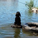 ���� �����, ������, 55 ��� - ��������� 15 ���� 2015 � ������ �������